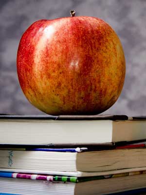 DDOS压力测试网页端