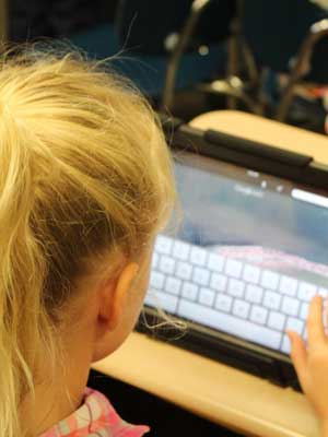 网站攻击软件工具