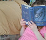 秒发卡平台的ddos压力测试平台